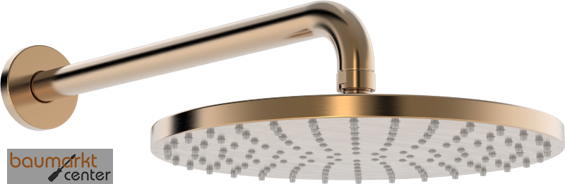 Hansa Kopfbrause HANSAVIVA 4426 1-strahlig